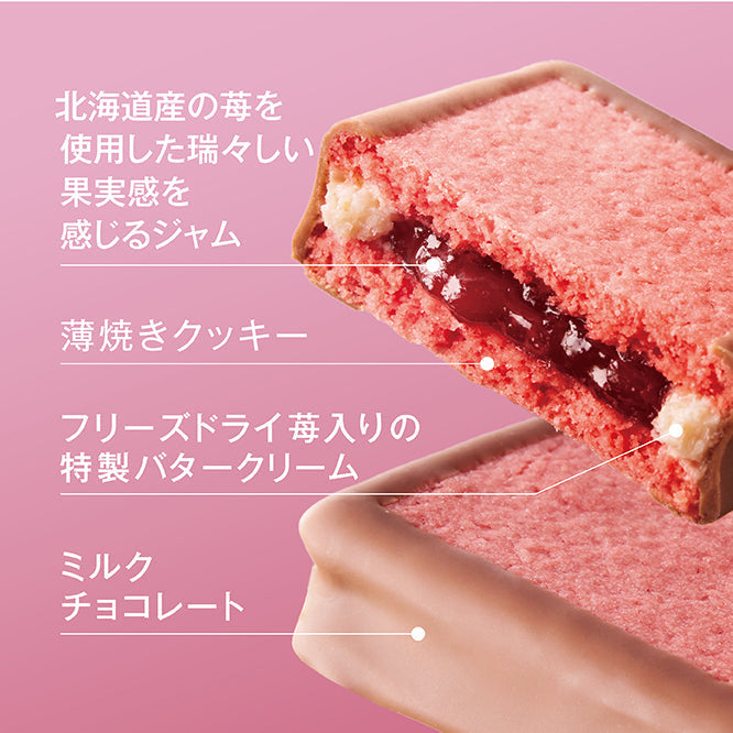4種のジュエリー食べ比べセット(プレミアムブラックMIX、メロンジュエリー メロウ、ストロベリージュエリー プランタン)