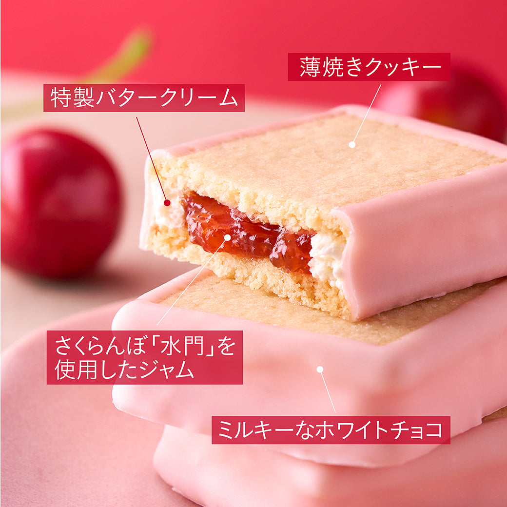 【特別送料500円】4種のジュエリー食べ比べセット(プレミアムブラックMIX 6個、アップルジュエリー ルビーレッド 4個、チェリージュエリー ルージュ 4個)