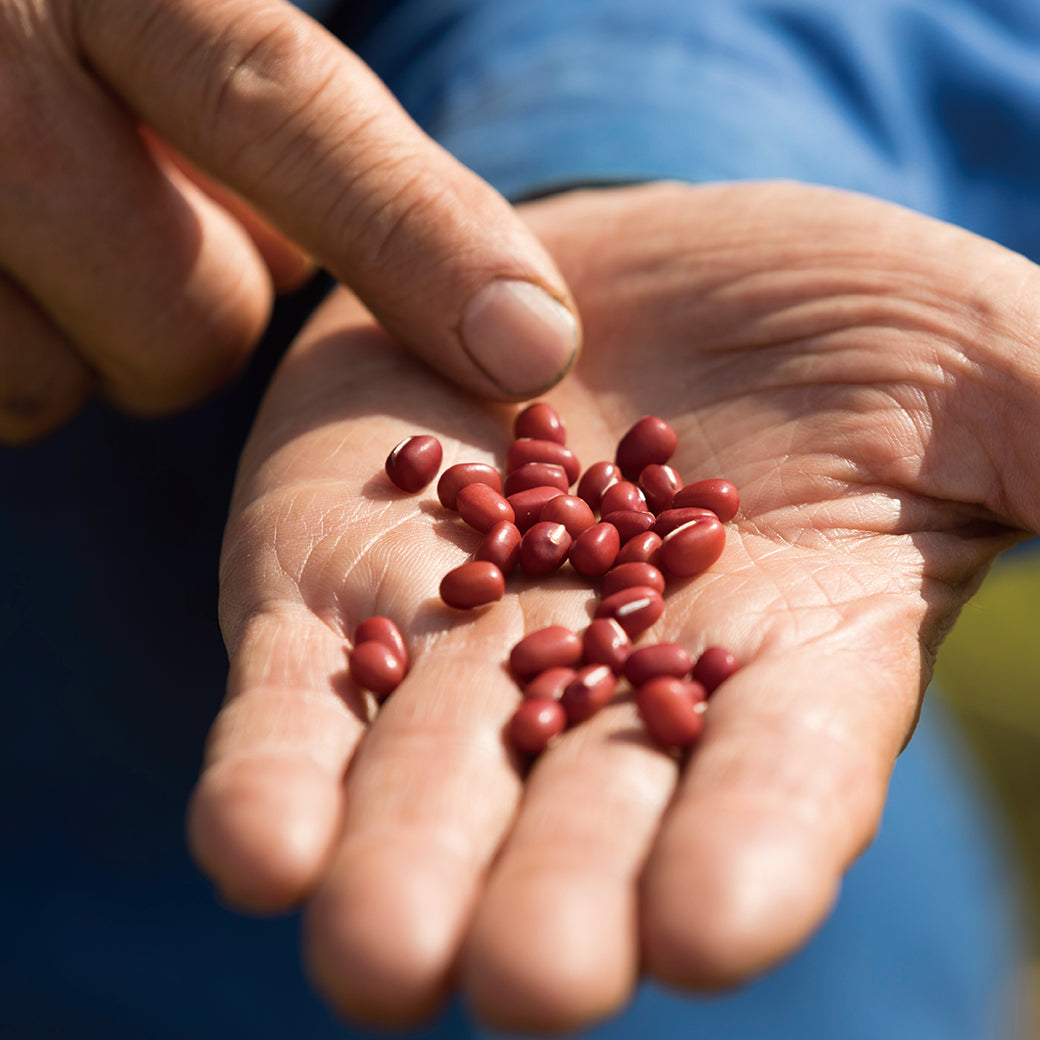 北海道どら焼きヌーボーと人気スイーツセット