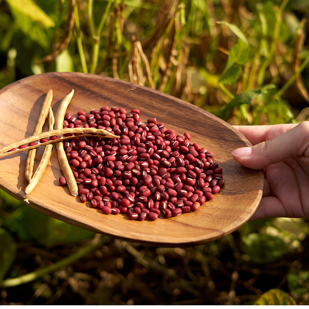北海道どら焼きヌーボーと人気スイーツセット