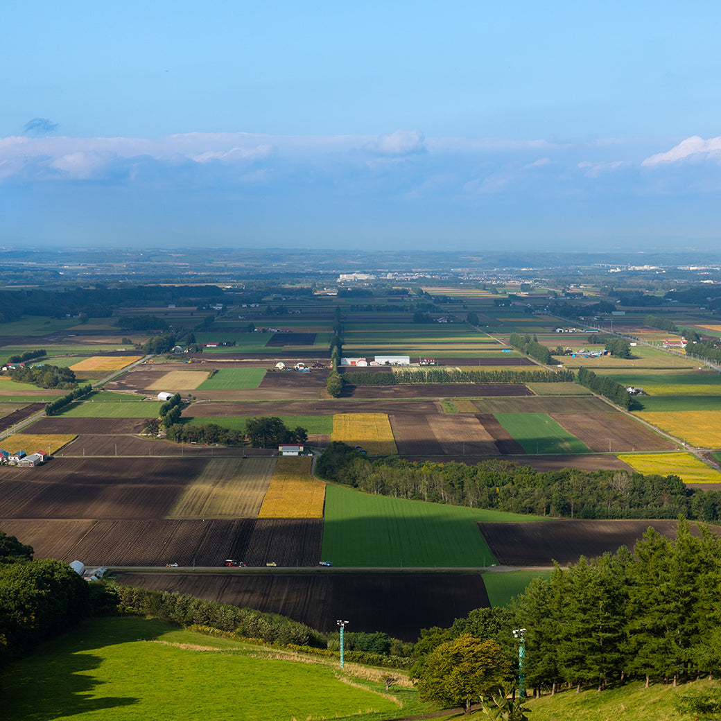 北海道どら焼きヌーボーと人気スイーツセット