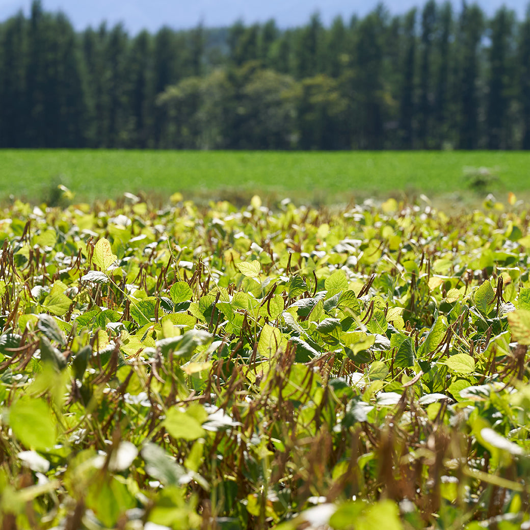 北海道どら焼きヌーボーと人気スイーツセット