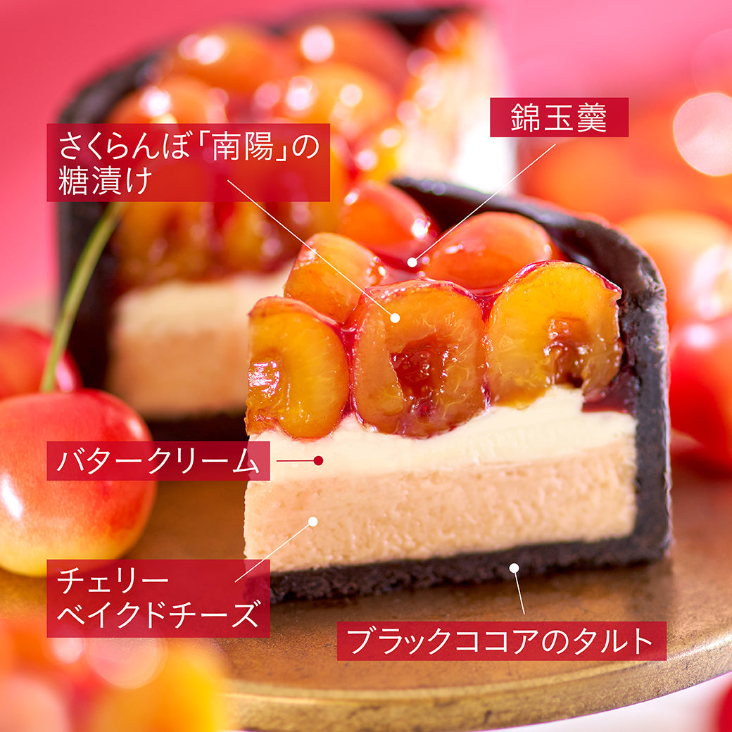 仁木町産南陽さくらんぼのフロマージュタルト
