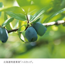 ハスカップジュエリー 4個 - もりもと オンラインショップ