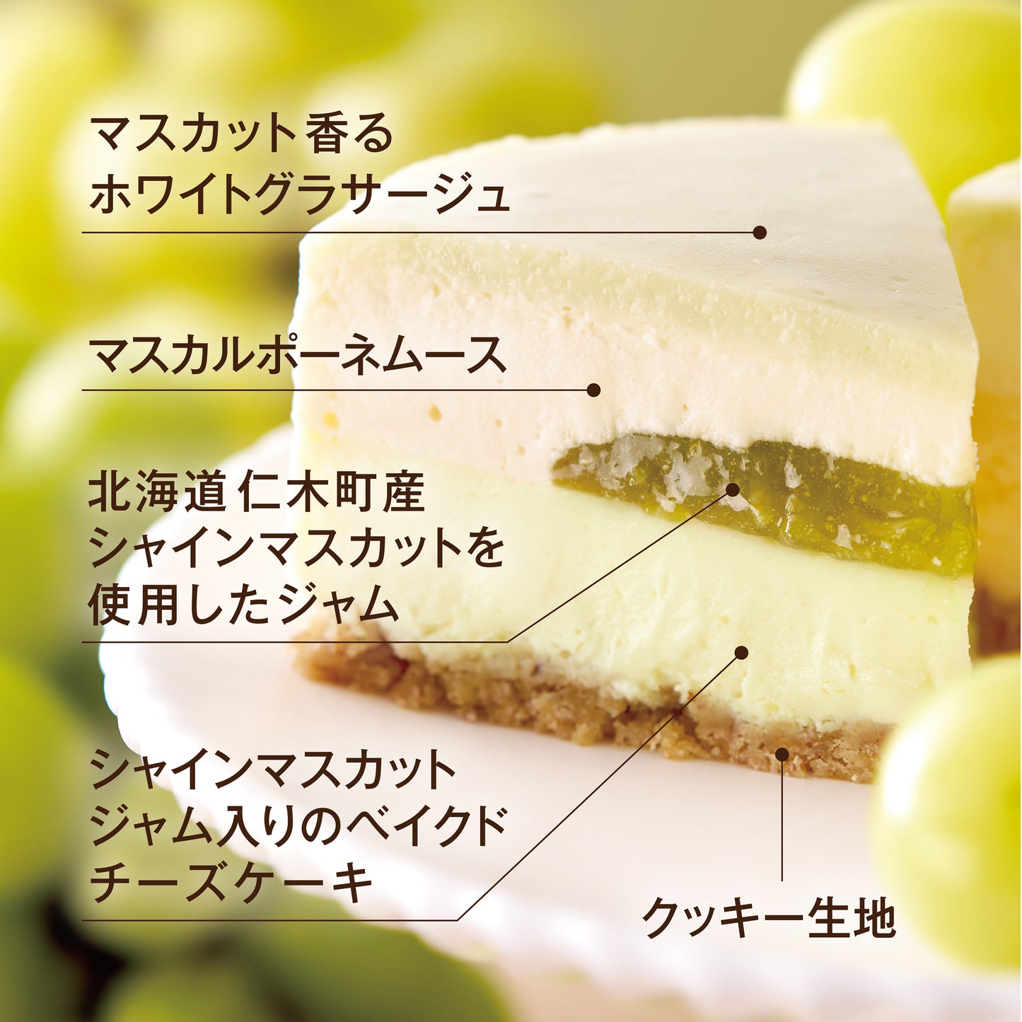 ふらの雪どけチーズケーキと季節のチーズケーキ~シャインマスカットフロマージュ~