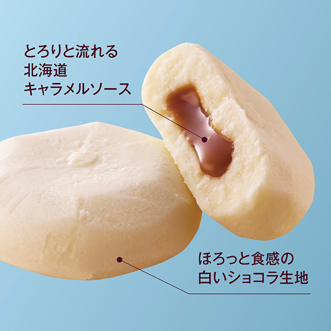 【特別価格・送料無料】ほろっとショコラ~北海道キャラメル~6個 10箱セット