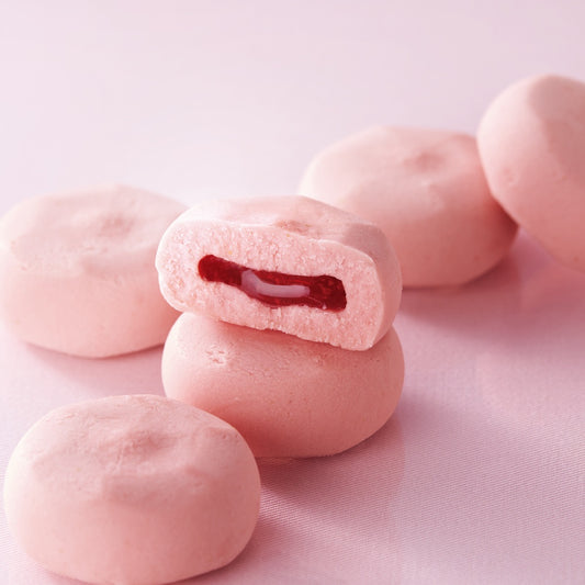 ほろっとショコラ ~北海道いちご~