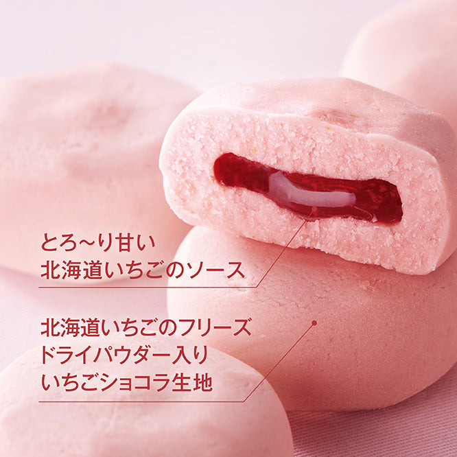 【特別価格・送料無料】ほろっとショコラ ~北海道いちご~6個 10箱セット