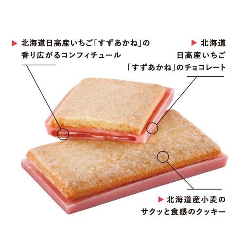 北の散歩道いちご&ストロベリージュエリーセット