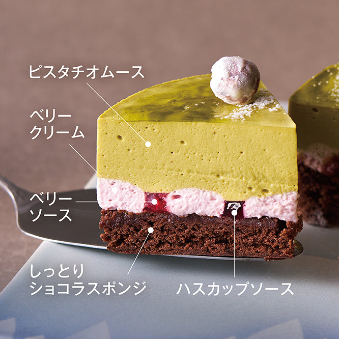 【クリスマス2023】ツリー・ピスターシュ