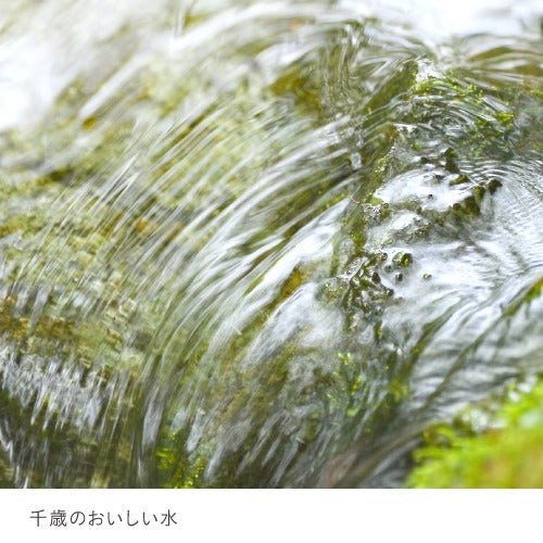 太陽いっぱいのハスカップゼリー 12個 - もりもと オンラインショップ