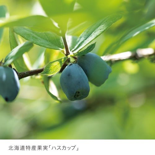 ハスカップジュエリー 4個 - もりもと オンラインショップ