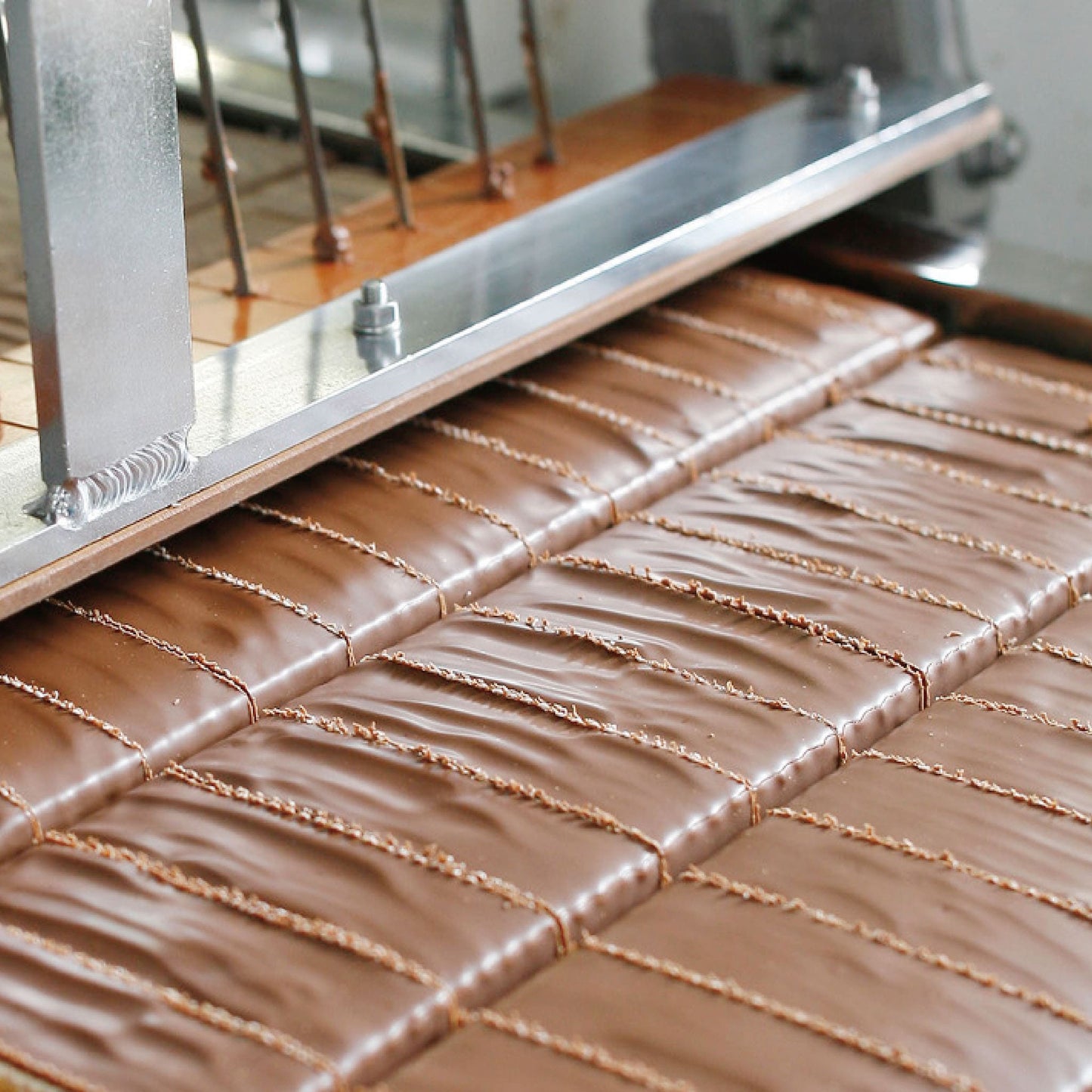 ミルフェ 8個 - もりもと オンラインショップ