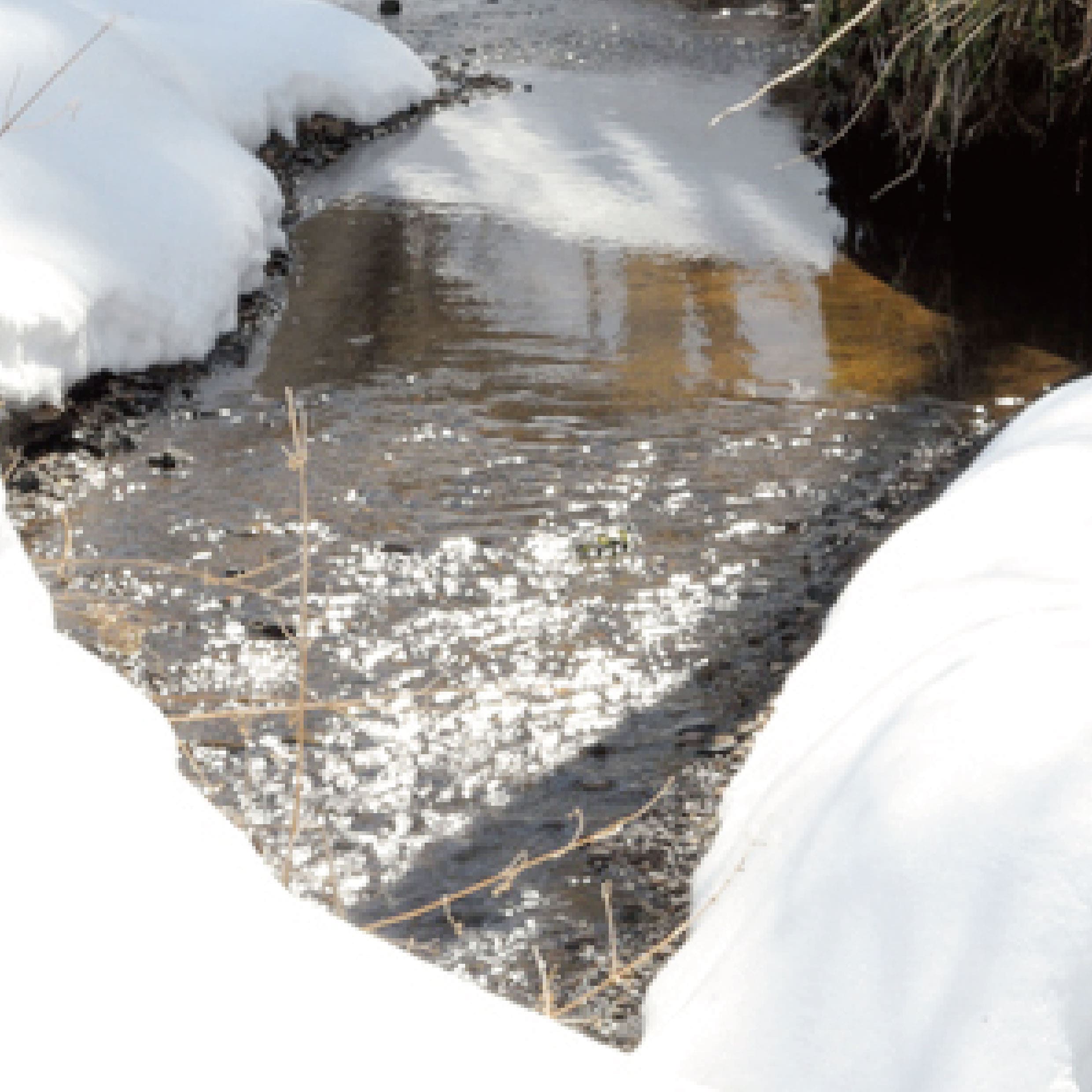 ふらの雪どけチーズケーキ《ミルティホワイト》 - もりもと オンラインショップ
