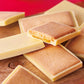 北大の実り チョコ＆クッキー（余市産りんご）8個入