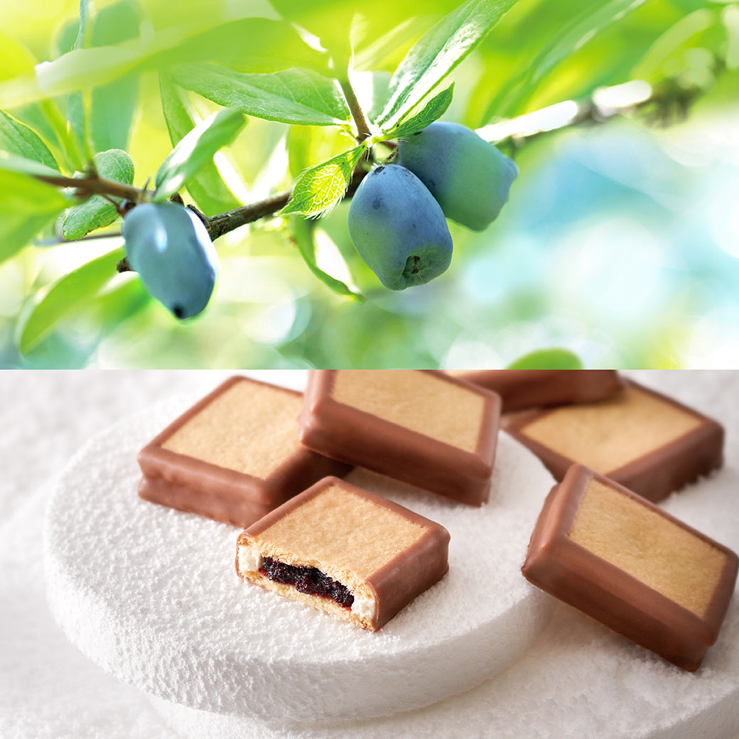 【クリスマス2025】ショコラ・ジュエル～紫の煌めき～