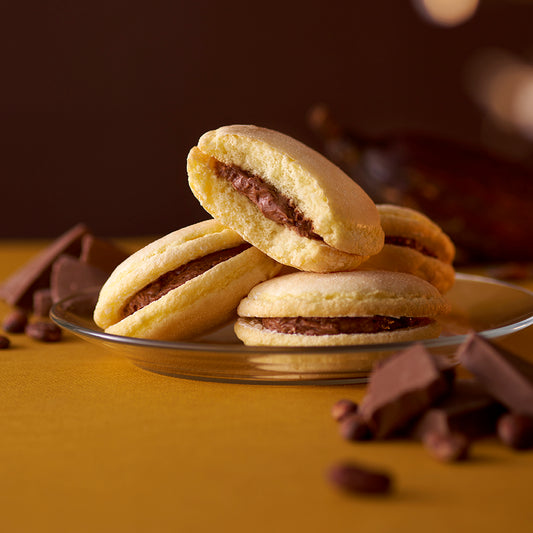 雪鶴〈ゆきづる〉ショコラ　5個