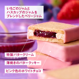 ベリーベリージュエリー アソート　6個