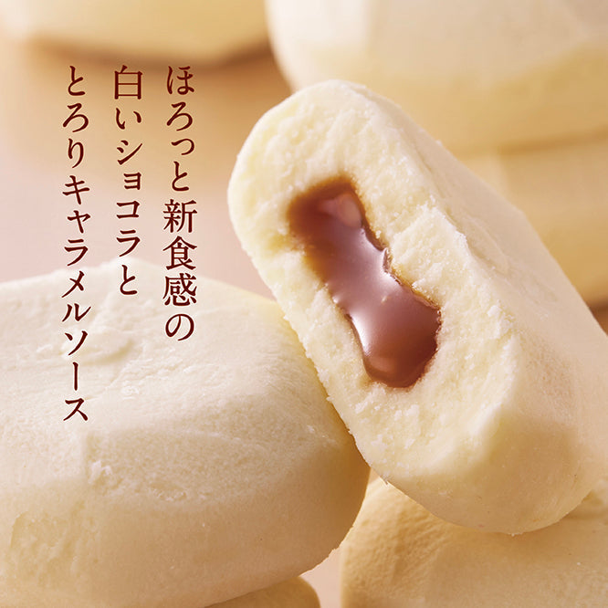 特別価格・送料無料】ほろっとショコラ～北海道キャラメル～6個 10箱